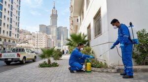 شركة مكافحة حشرات بمكه